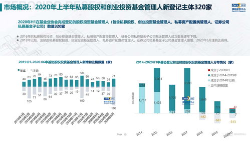 2020上半年中國股權(quán)投資市場回顧與展望 融資咨詢服務(wù)的新變局與新機遇
